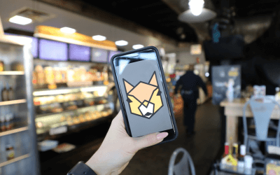 Team Growth at App Development Startup Hazlnut
